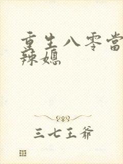 重生八零当家小辣媳