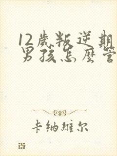 12岁叛逆期的男孩怎么管