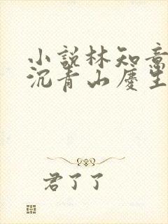 小说林知意,宫沉青山庆生
