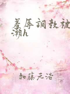 羞辱调教被c高潮h
