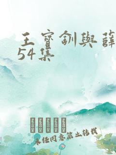 王宝钏与薛平贵54集