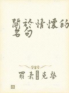 关于情怀的名言名句