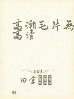 高潮毛片无遮挡高清