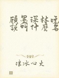 顾墨琛林晚依小说叫什么名字