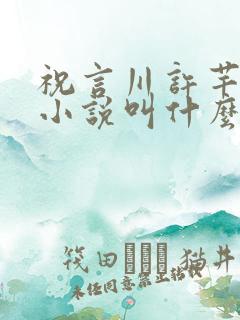 祝言川许芊洛的小说叫什么名字