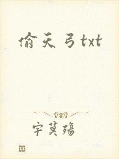偷天弓txt