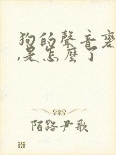 狗的声音变哑了,是怎么了