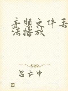 音频文件丢失无法播放
