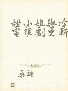 甜小姐与冷先生电视剧更新