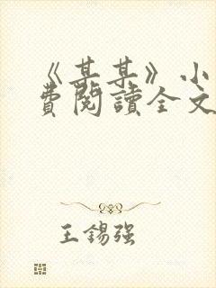 《某某》小说免费阅读全文