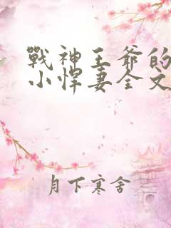战神王爷的甜宠小悍妻全文
