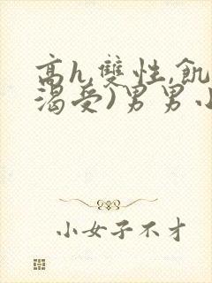 高h,双性,饥渴受)男男小说