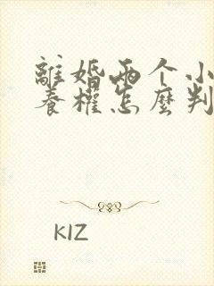 离婚两个小孩抚养权怎么判定