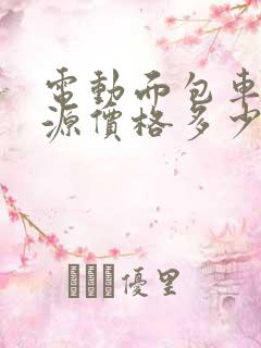 电动面包车新能源价格多少