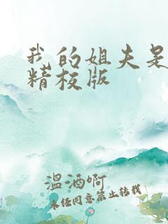我的姐夫是太子精校版
