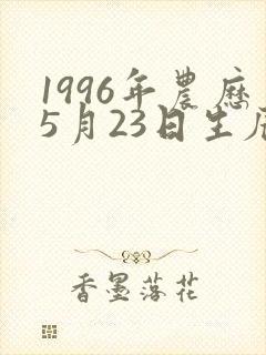 1996年农历5月23日生辰八字