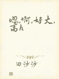 嗯,啊,好大,高h