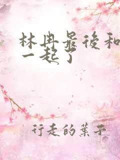 林冉最后和谁在一起了