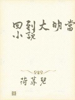 回到大明当王爷小说