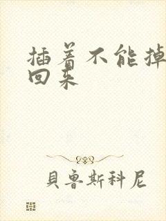 插着不能掉等我回来