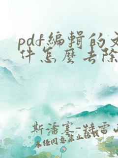 pdf编辑的文件怎么去除水印