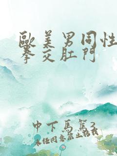 欧美男同性恋之拳交肛门