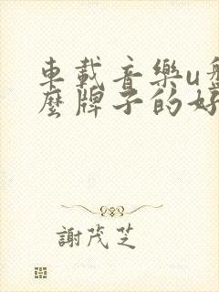 车载音乐u盘什么牌子的好