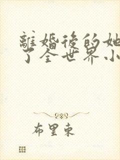 离婚后的她惊艳了全世界小说