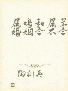 属鸡和属羊的人婚姻合不合