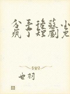 分手后苏小姐杀疯了短剧免费观看全集