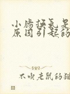 小肠换气是什么原因引起的