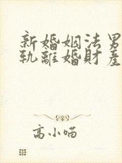 新婚姻法男方出轨离婚财产分割