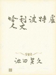 哈利波特卢平同人文