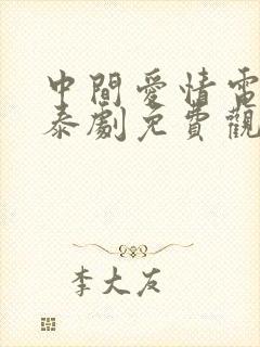 中间爱情电视剧泰剧免费观看全集