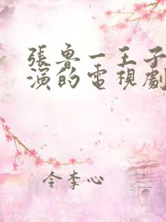 张鲁一王子文主演的电视剧有什么