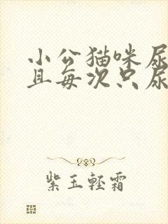 小公猫咪尿频而且每次只尿一点
