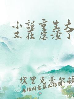 小说重生大小姐又在虐渣了