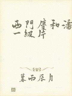 西门庆和潘金莲一级片