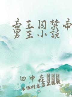 帝王囚禁帝师双男主小说