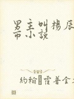 男主叫杨辰的都市小说