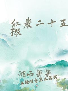 红岩二十五章梗概
