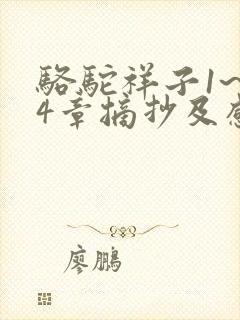 骆驼祥子1~24章摘抄及感悟100字