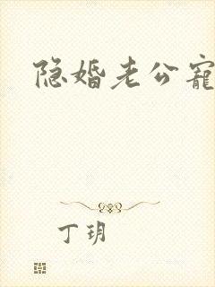 隐婚老公宠翻天