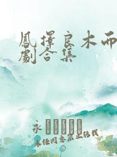 凤择良木而栖短剧合集