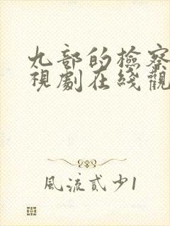 九部的检察官电视剧在线观看免费高清