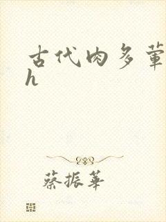 古代肉多荤文高h