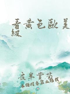 看黄色欧美特一级