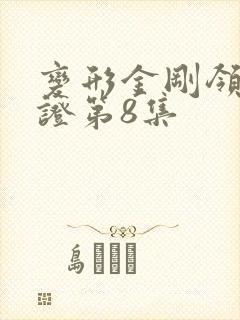 变形金刚领袖之证第8集