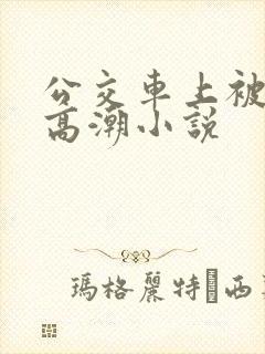 公交车上被插到高潮小说