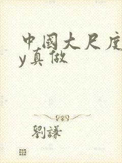 中国大尺度gay真做